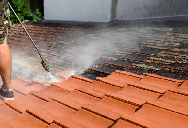  Kodi, AK Pressure Washing Pros
